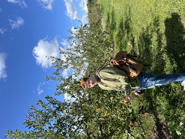 Apple orchard